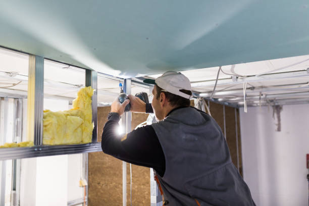 Best Insulation Maintenance and Repair in Dilworth, MN