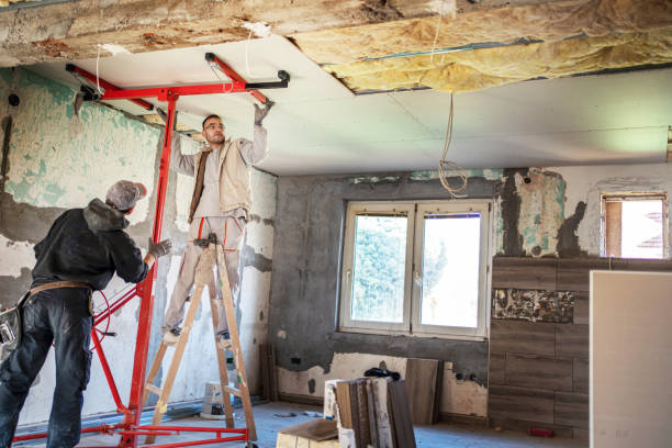 Best Insulation Maintenance and Repair in Dilworth, MN