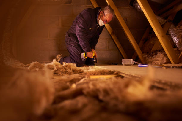 Best Commercial Insulation in Dilworth, MN
